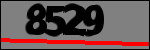 Text per identificar